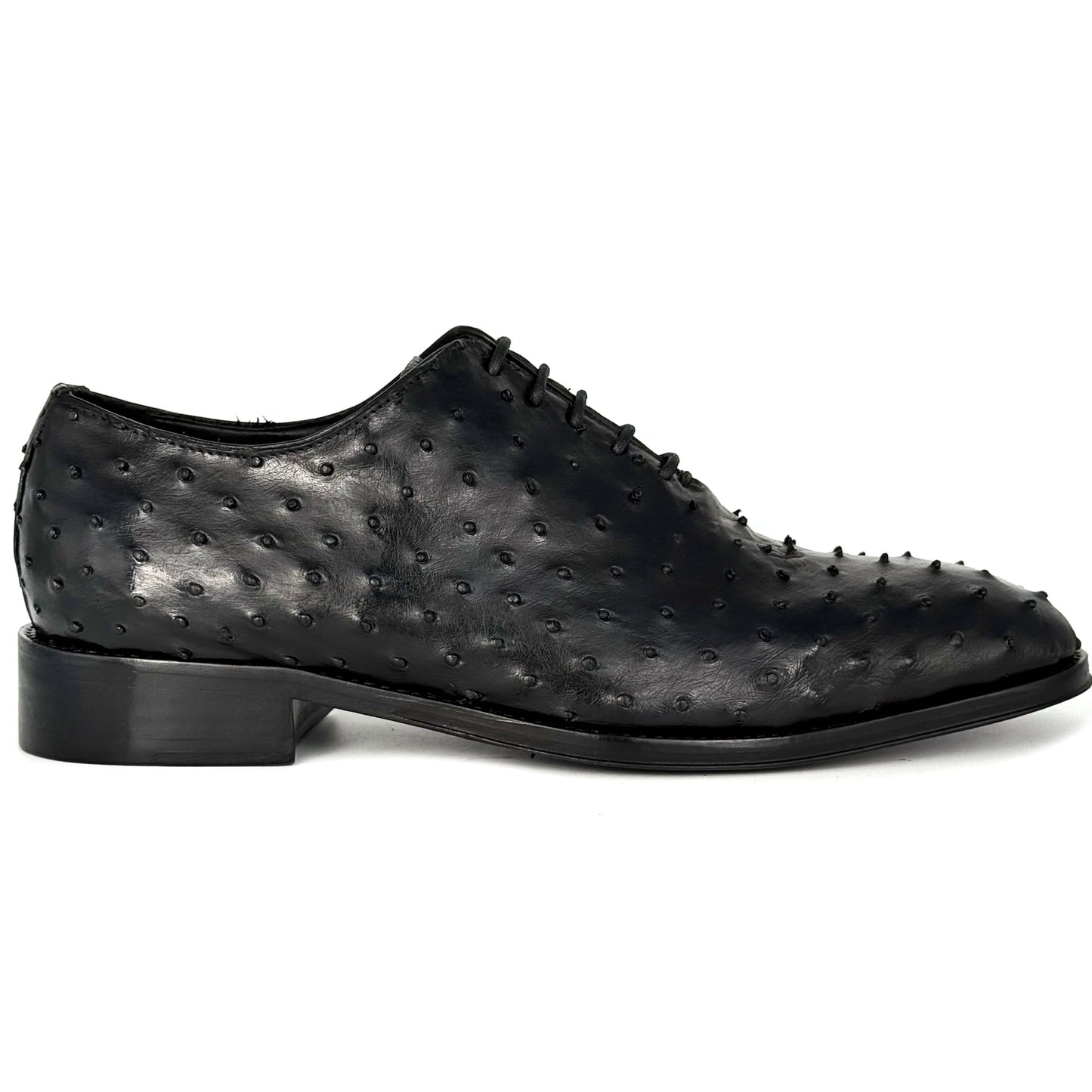 BLACK OSTRICH HUGO