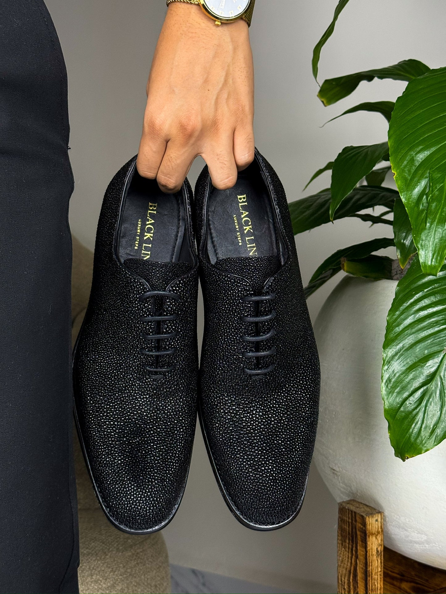BLACK STINGRAY HUGO