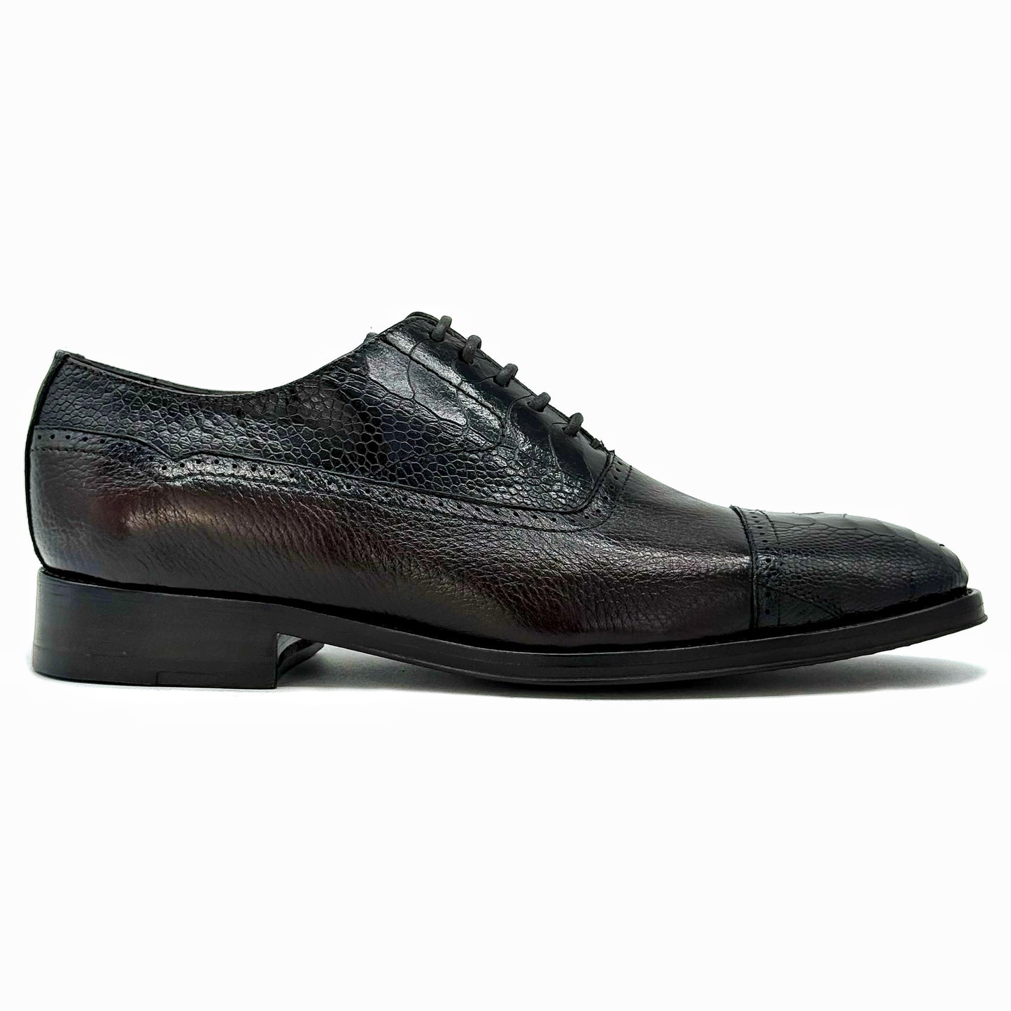 DARK BROWN DEER & OSTRICH WILLIAM