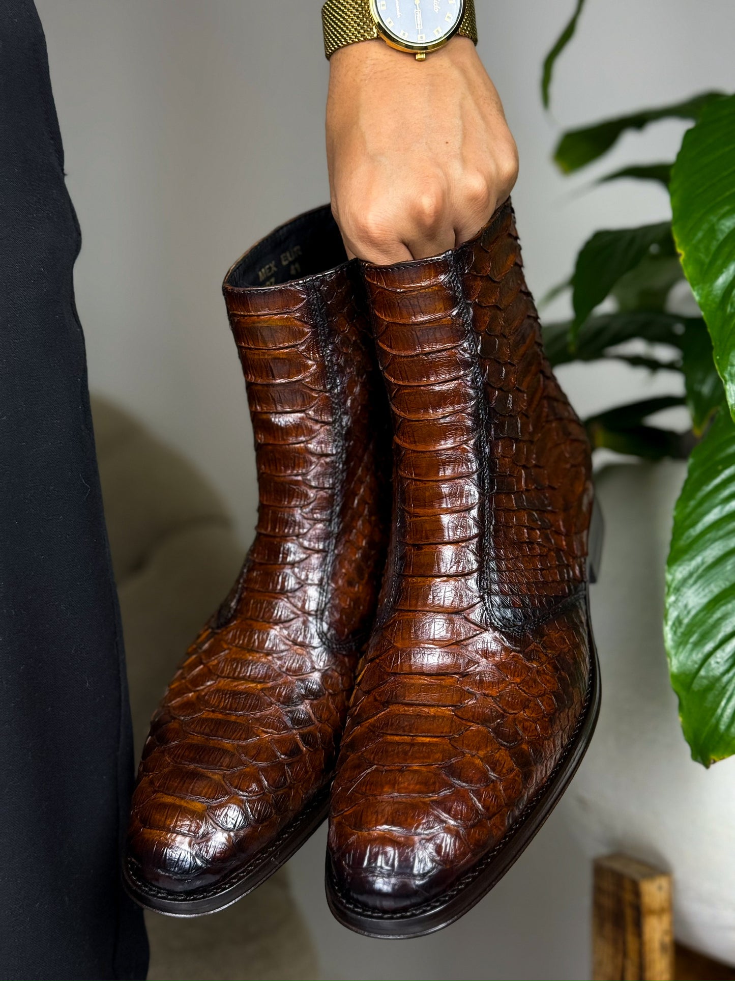 SNAKE DILAN
