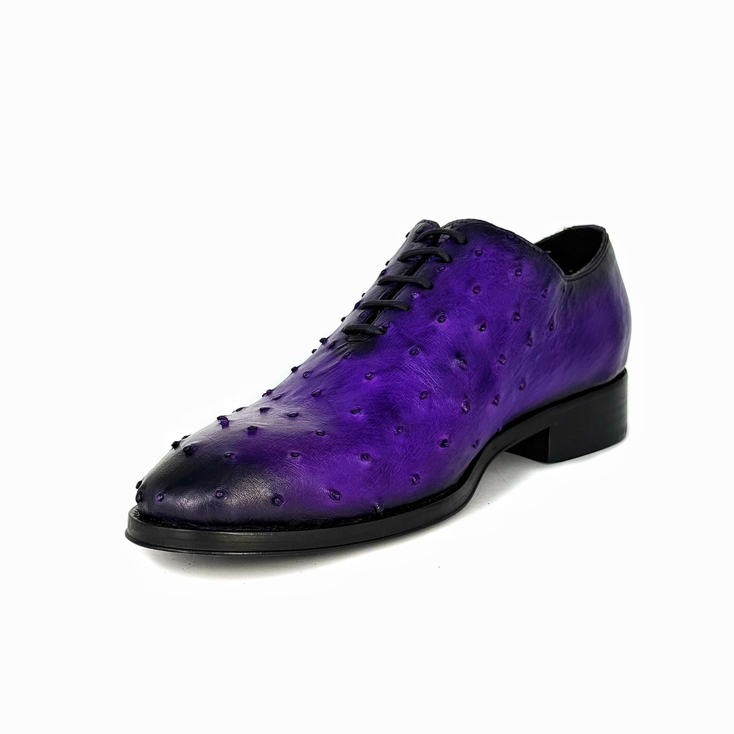 PURPLE OSTRICH HUGO