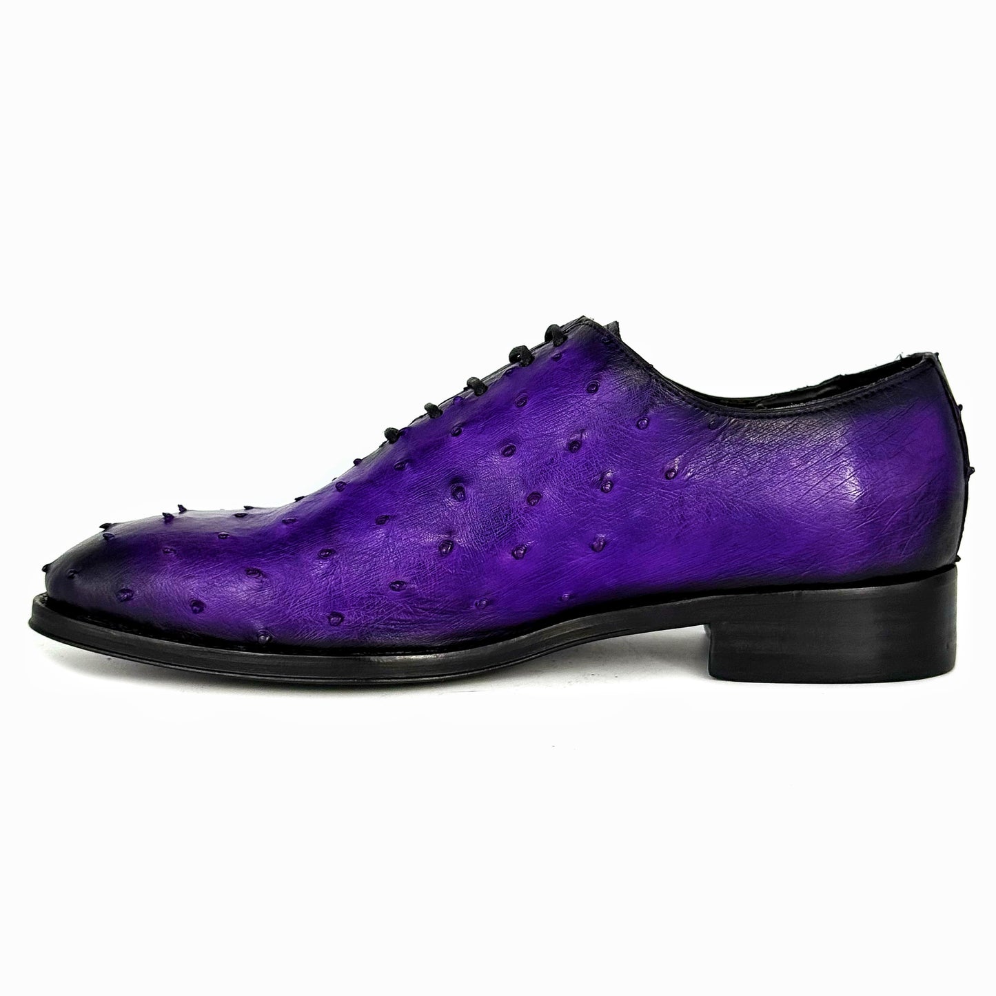 PURPLE OSTRICH HUGO