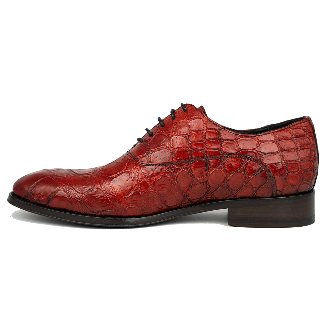 RED CROCO ALEXANDER