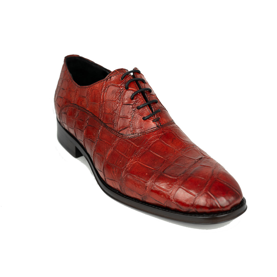 RED CROCO ALEXANDER