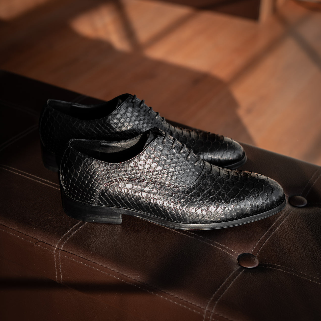 BLACK PYTHON ALEXANDER