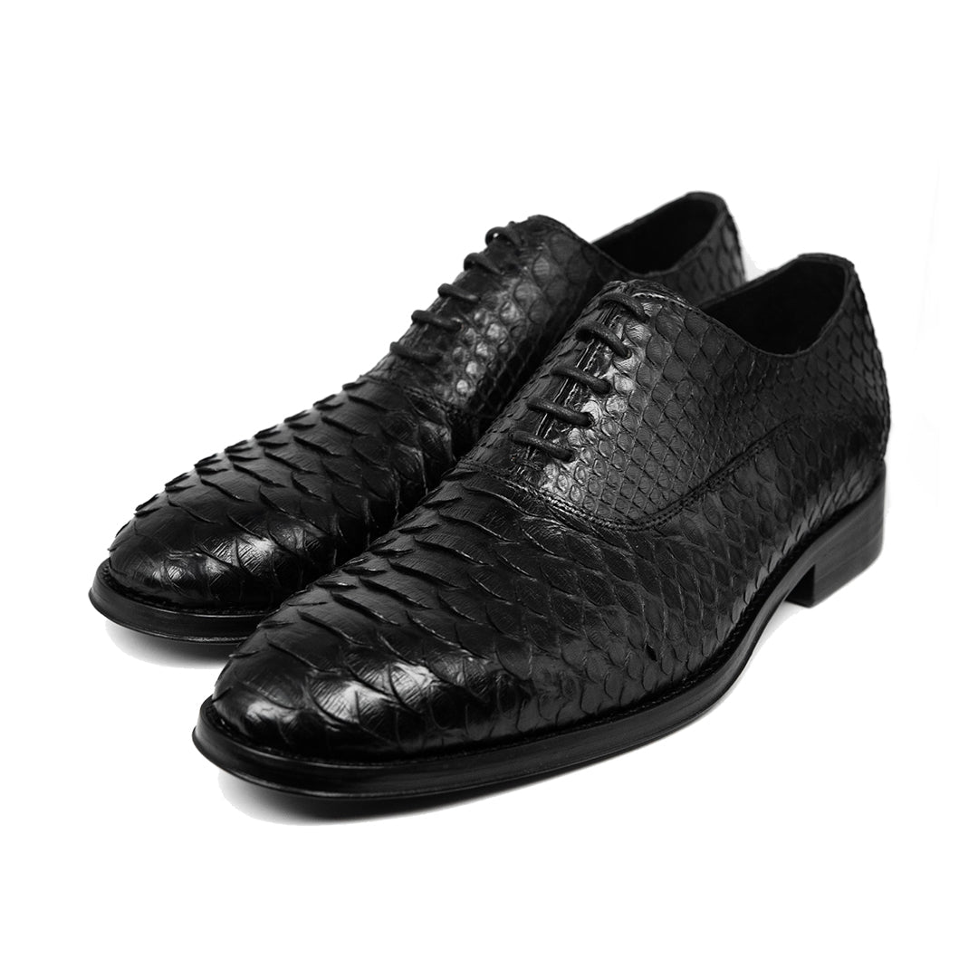 BLACK PYTHON ALEXANDER