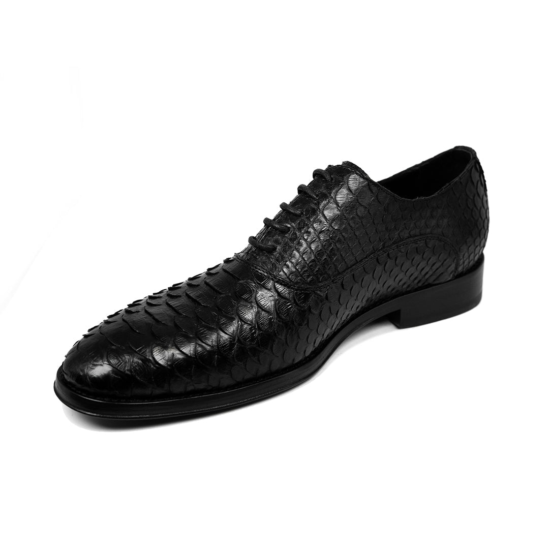 BLACK PYTHON ALEXANDER