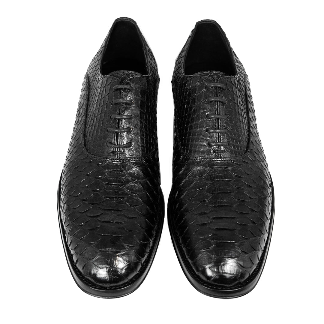 BLACK PYTHON ALEXANDER