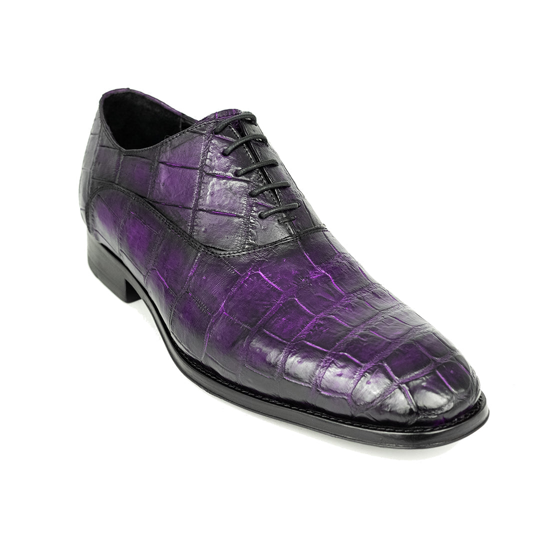 PURPLE CROCO ALEXANDER