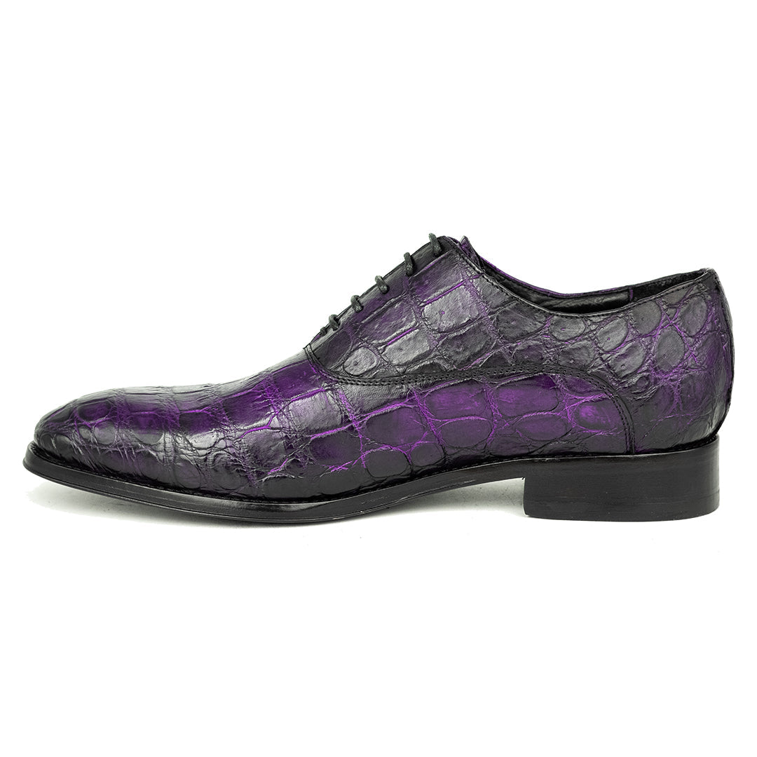 PURPLE CROCO ALEXANDER