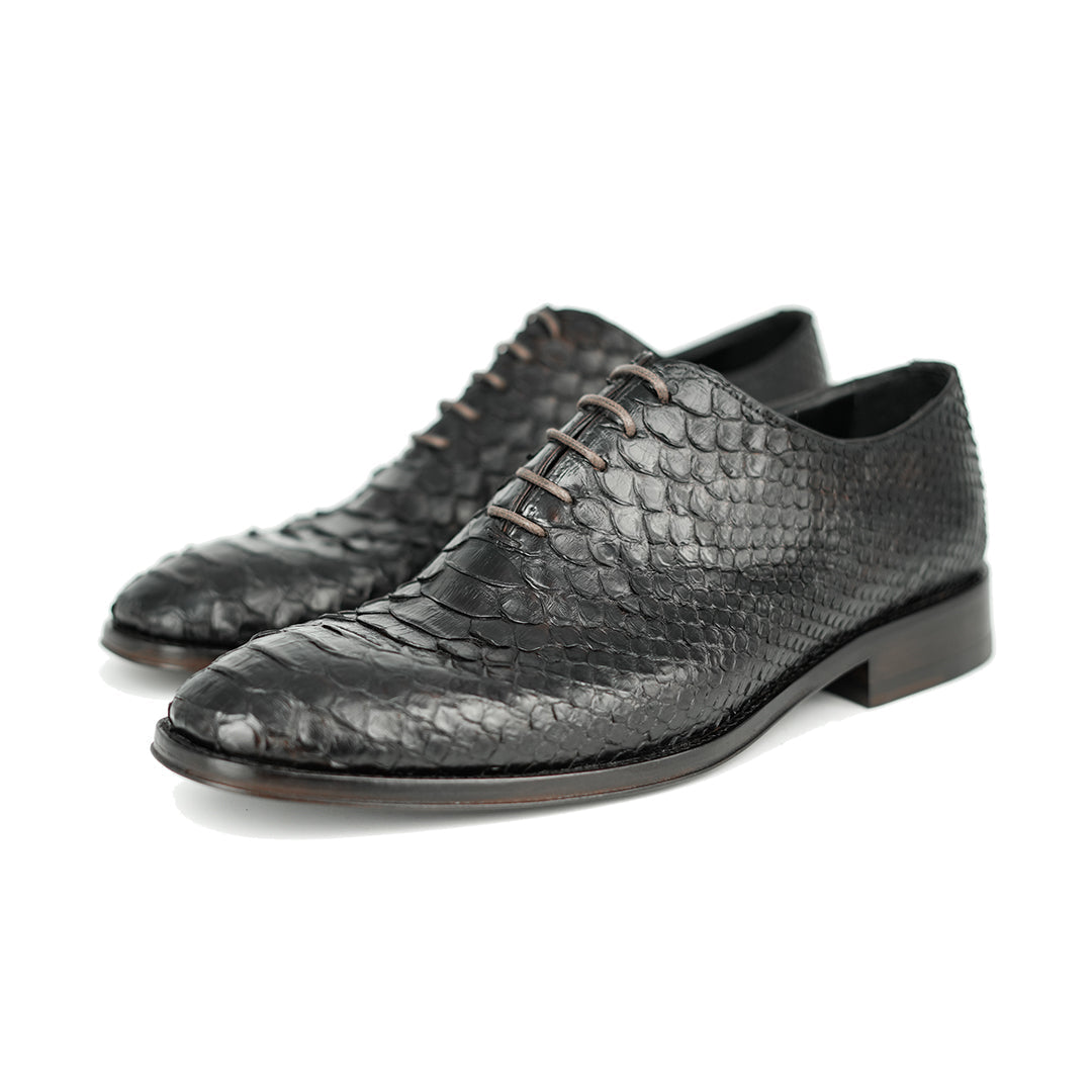 DARK BROWN PITON HUGO