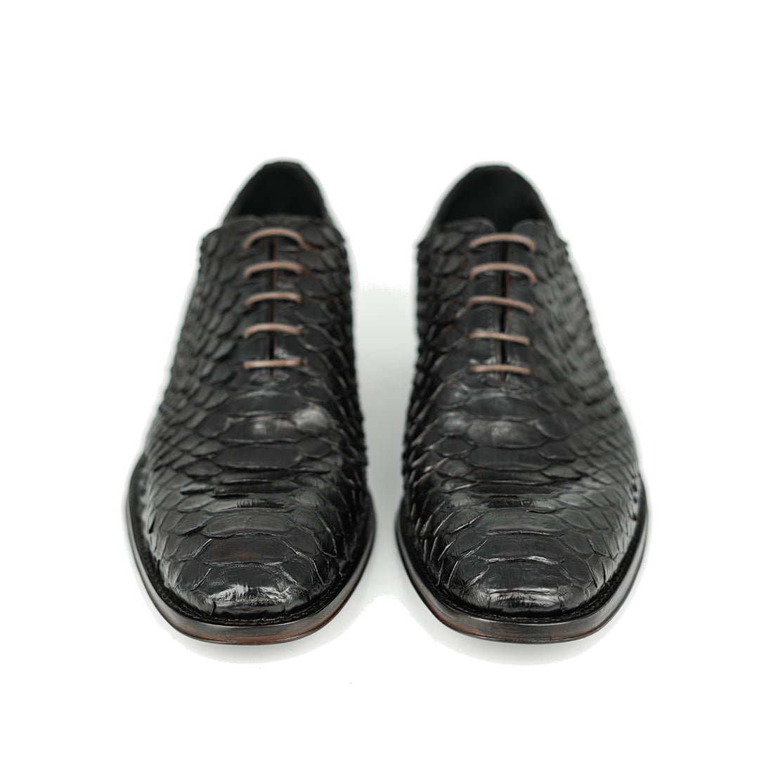 DARK BROWN PITON HUGO
