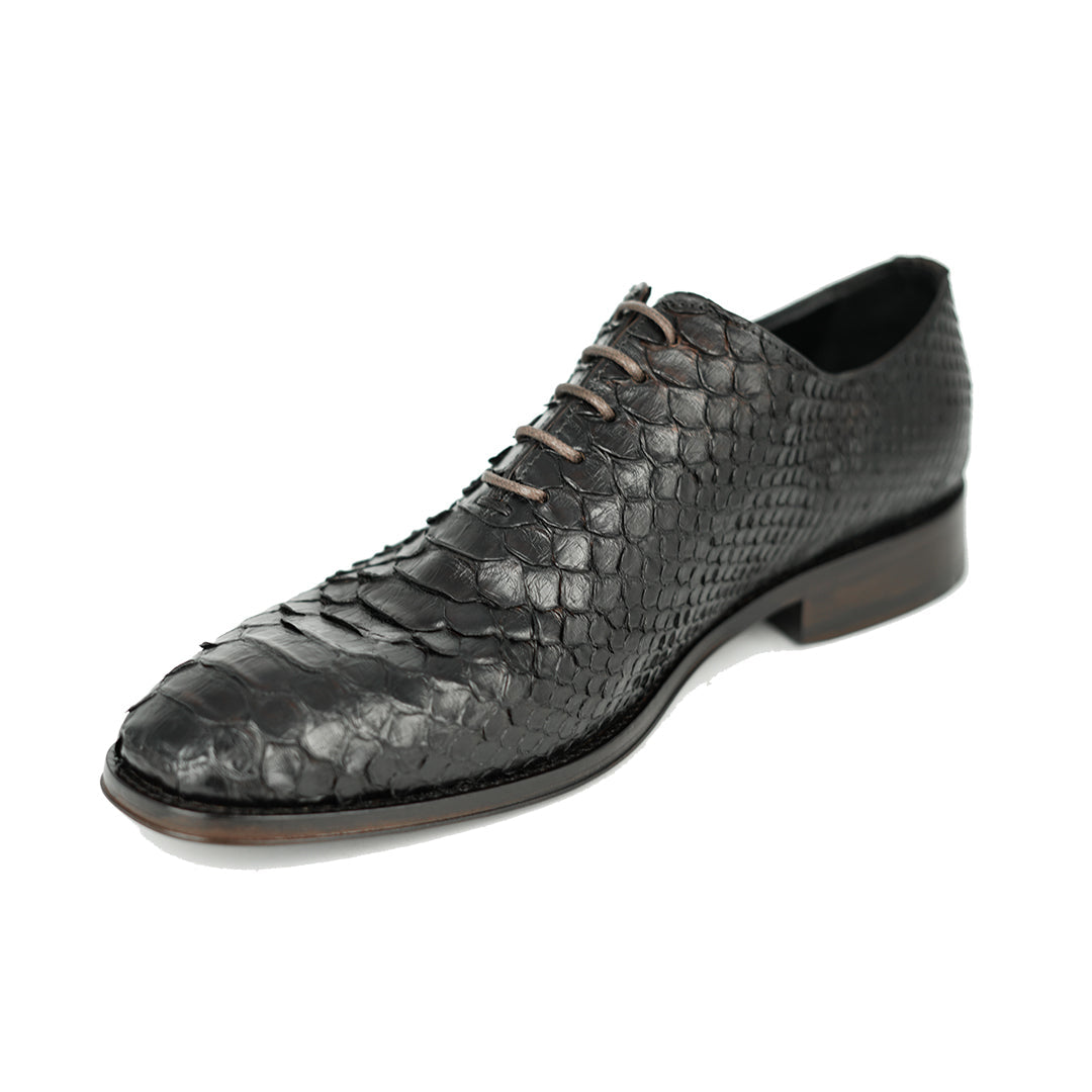 DARK BROWN PITON HUGO