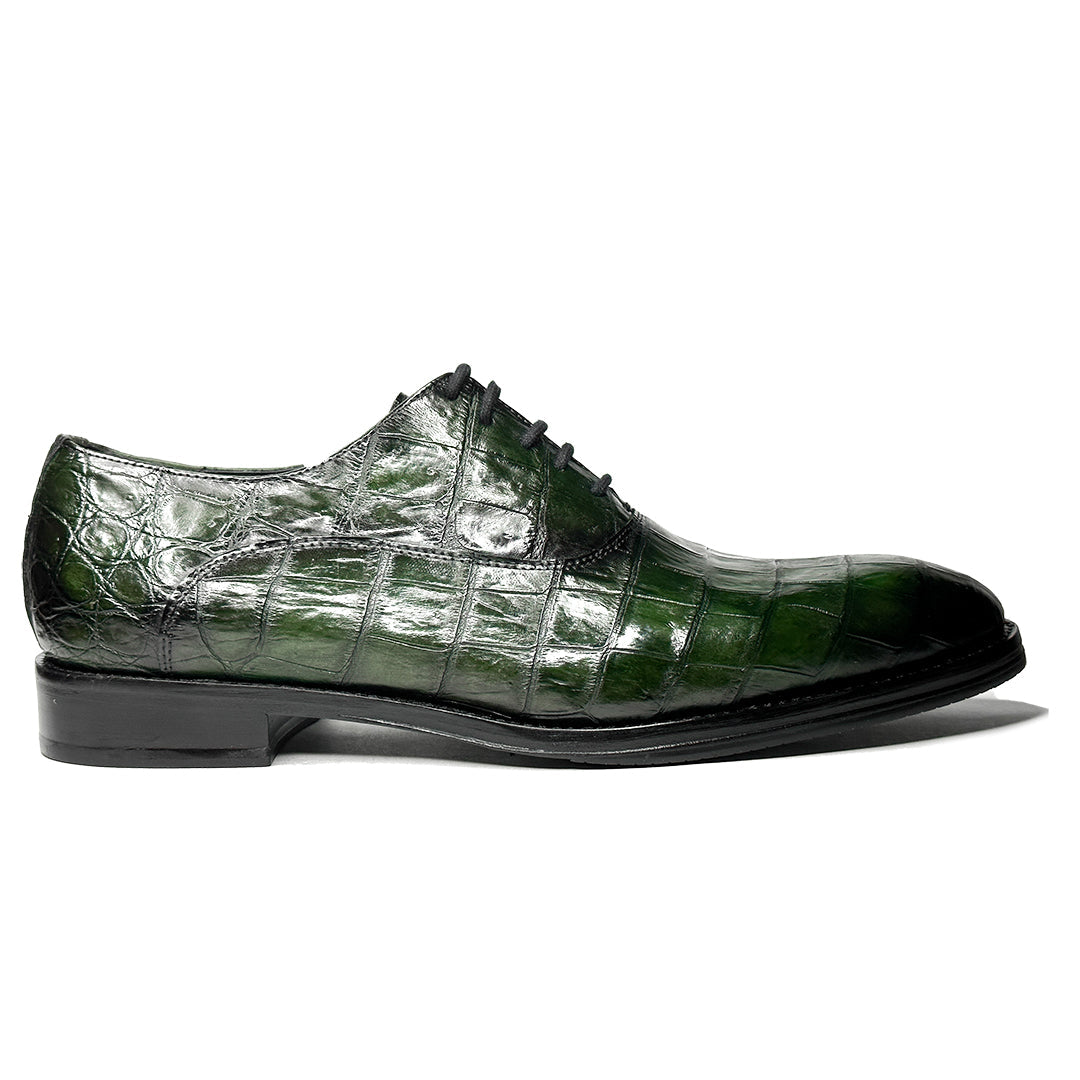 GREEN CROCO ALEXANDER