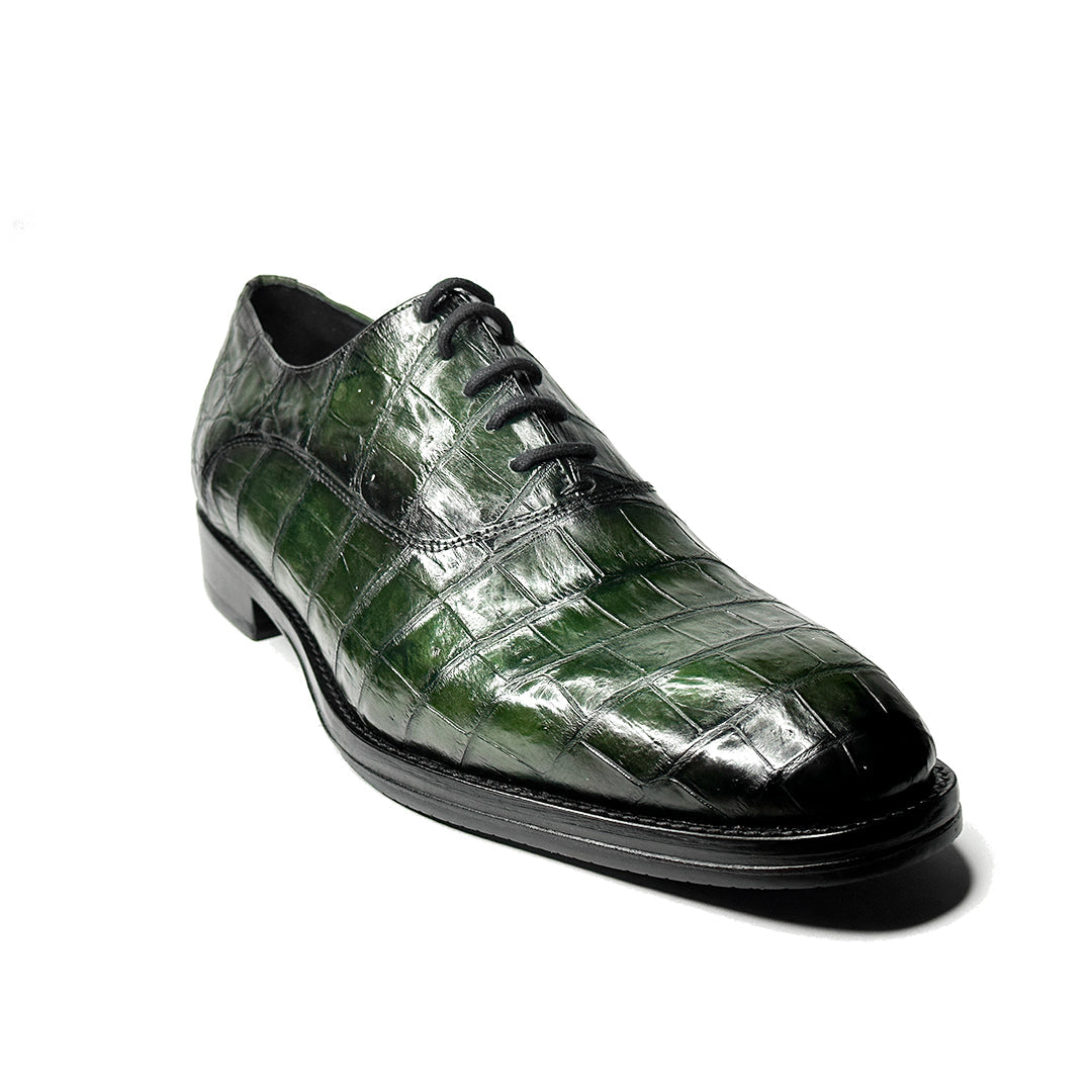 GREEN CROCO ALEXANDER