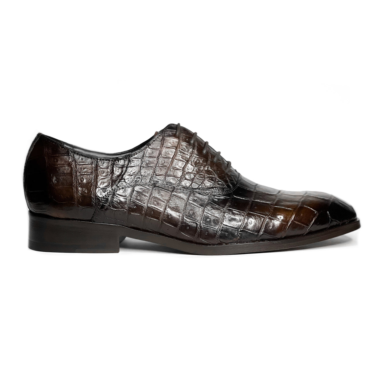 BROWN CROCO ALEXANDER