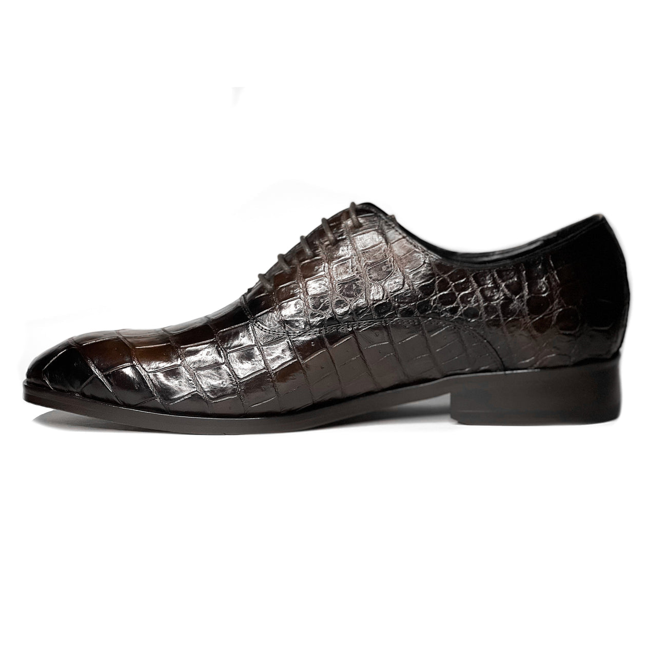 BROWN CROCO ALEXANDER
