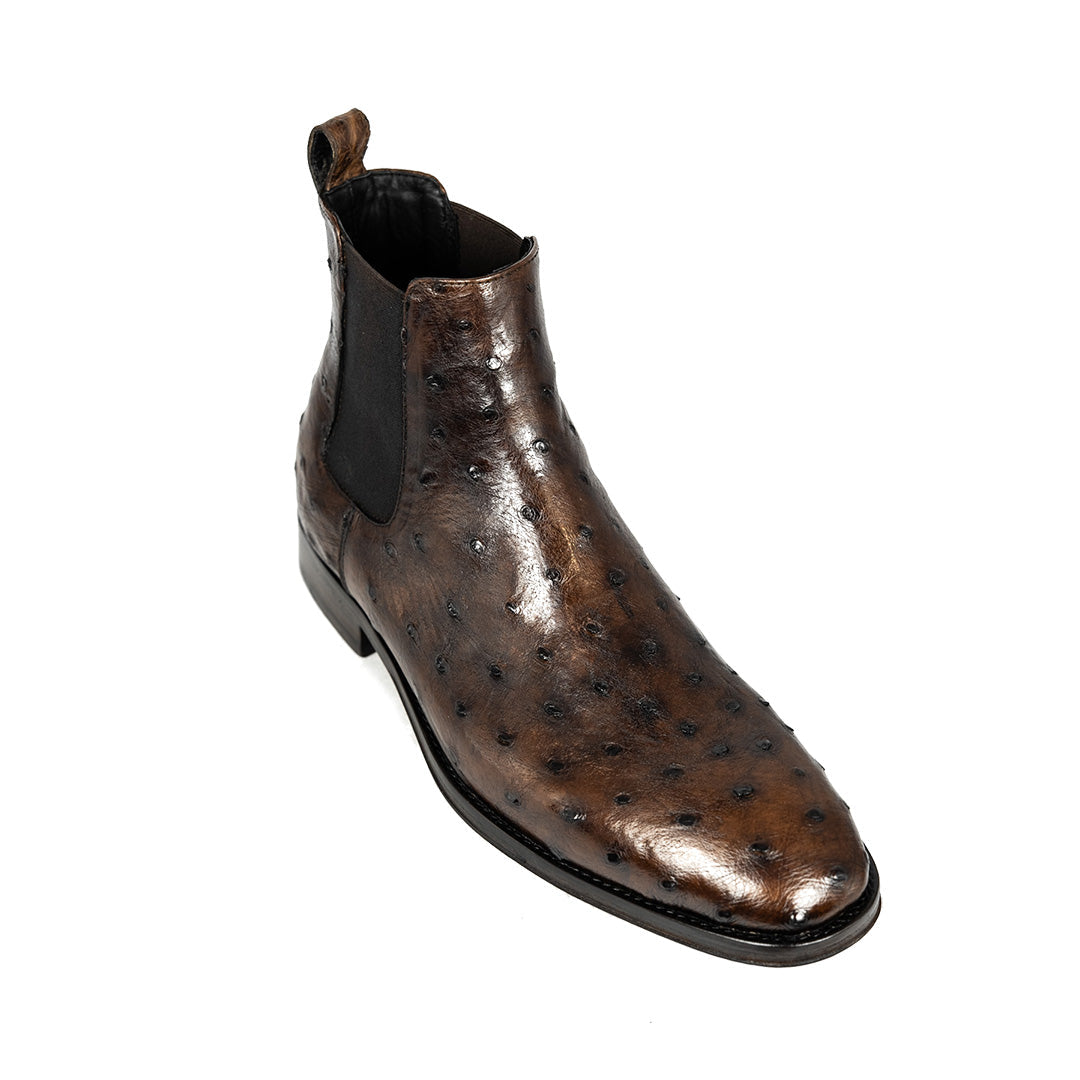 BROWN OSTRICH SAMUEL CHELSEA