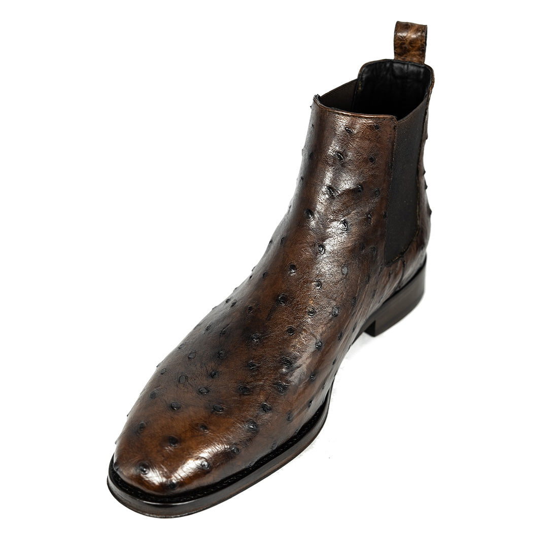 BROWN OSTRICH SAMUEL CHELSEA