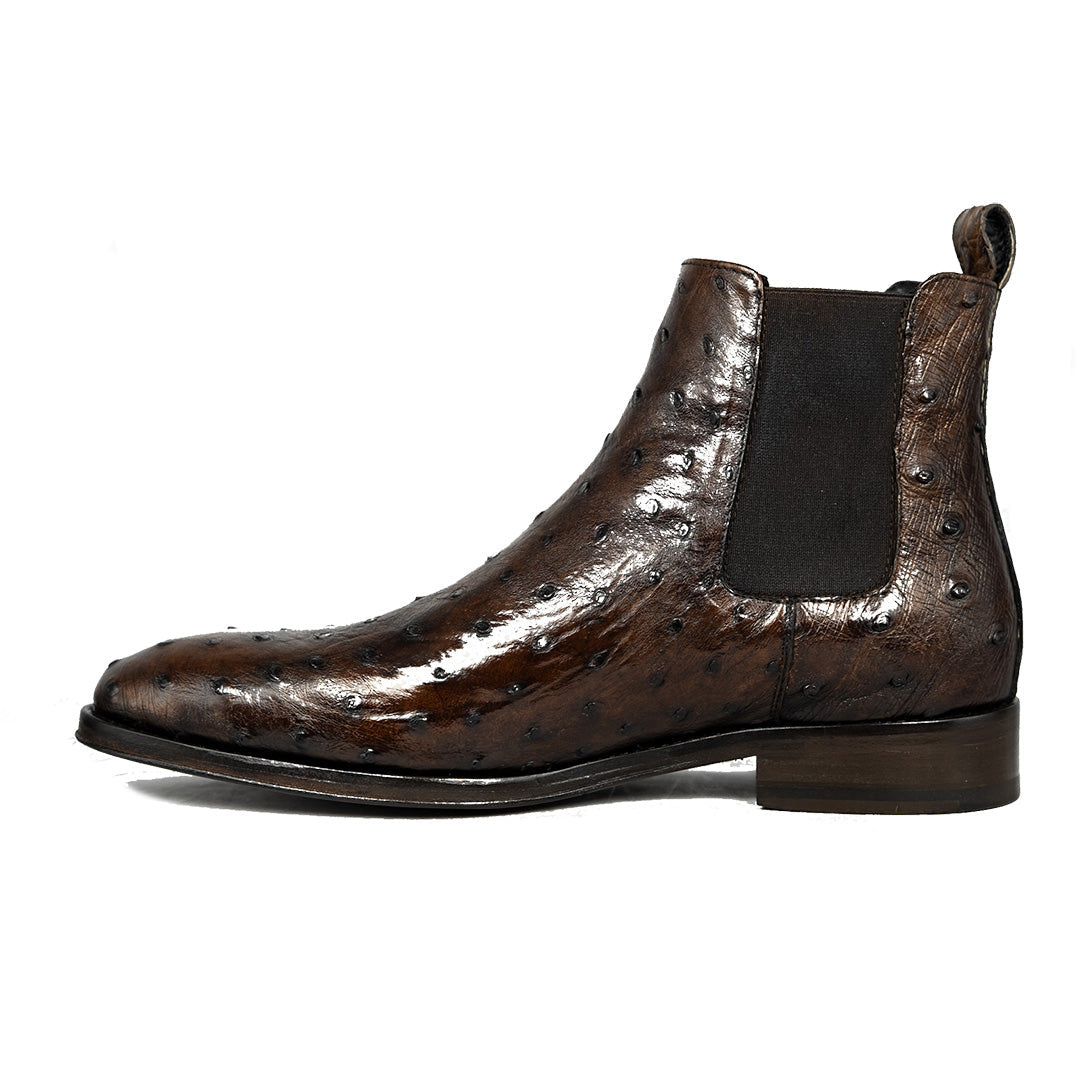 BROWN OSTRICH SAMUEL CHELSEA