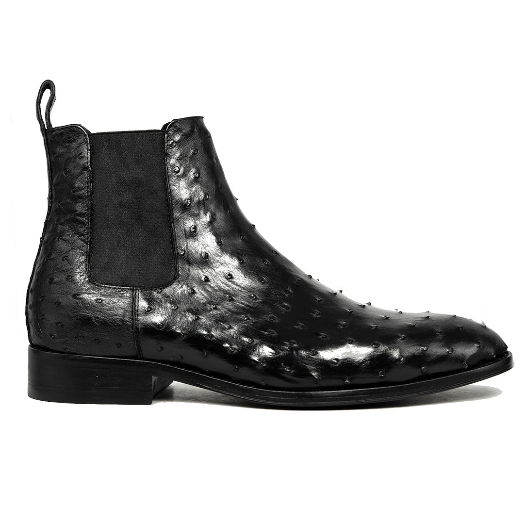BLACK OSTRICH SAMUEL CHELSEA