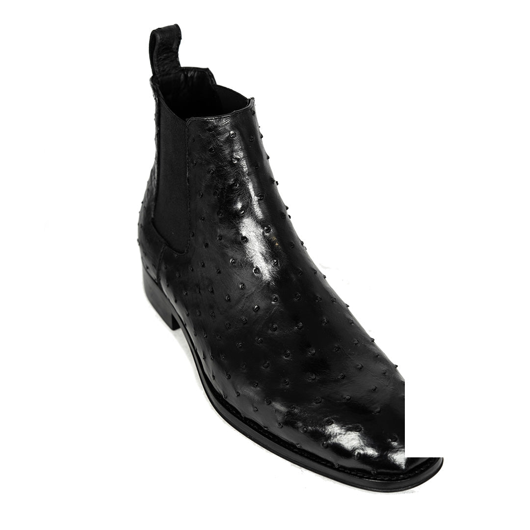 BLACK OSTRICH SAMUEL CHELSEA
