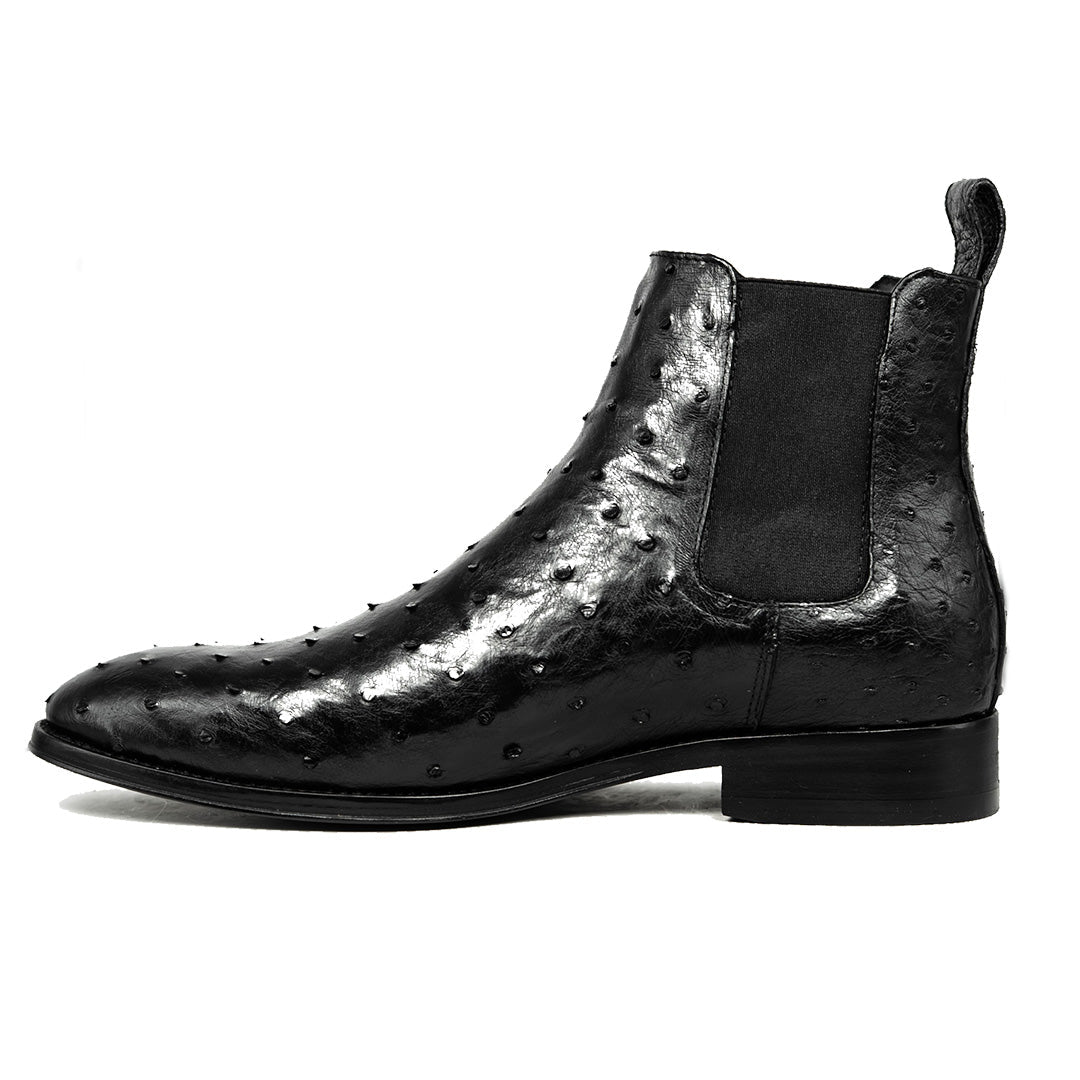 BLACK OSTRICH SAMUEL CHELSEA