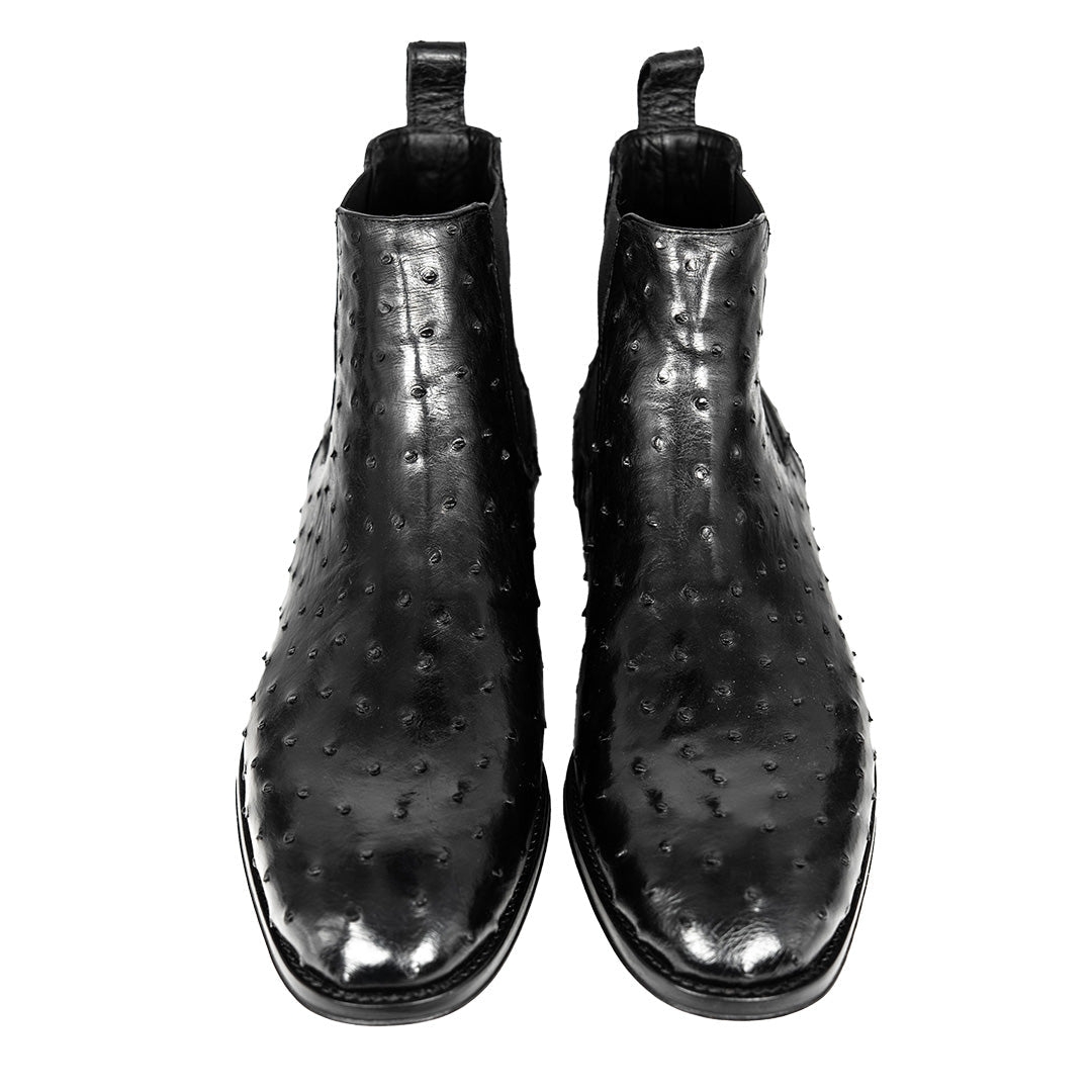 BLACK OSTRICH SAMUEL CHELSEA