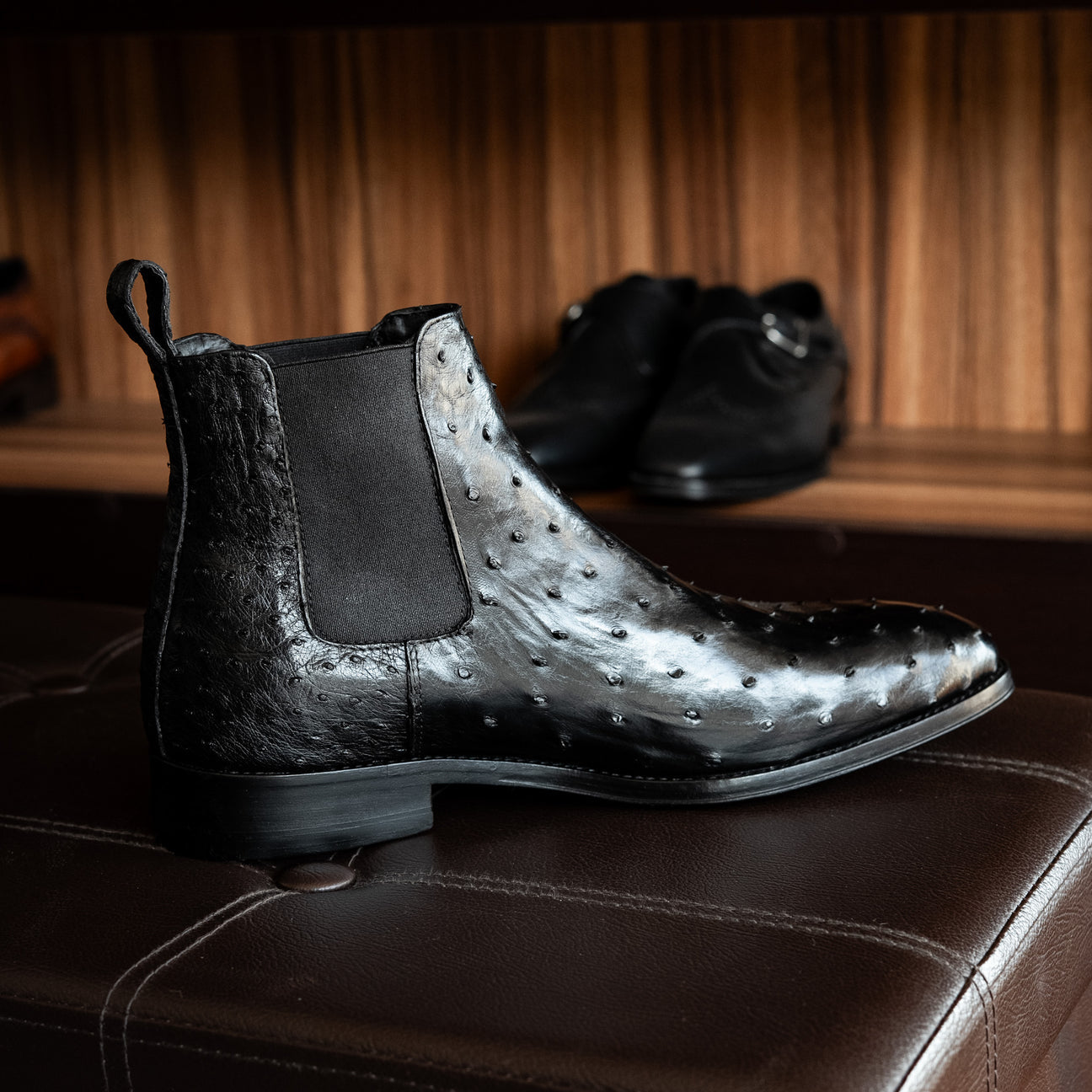 BLACK OSTRICH SAMUEL CHELSEA