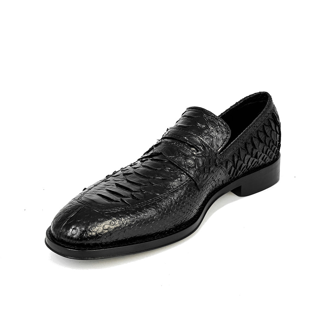 BLACK PYTHON DORIAN