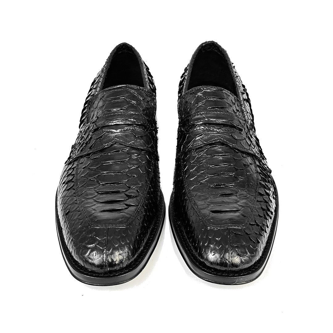 BLACK PYTHON DORIAN
