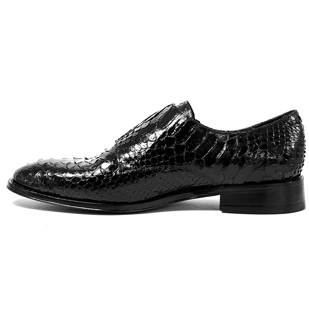 BLACK PYTHON XAVIER