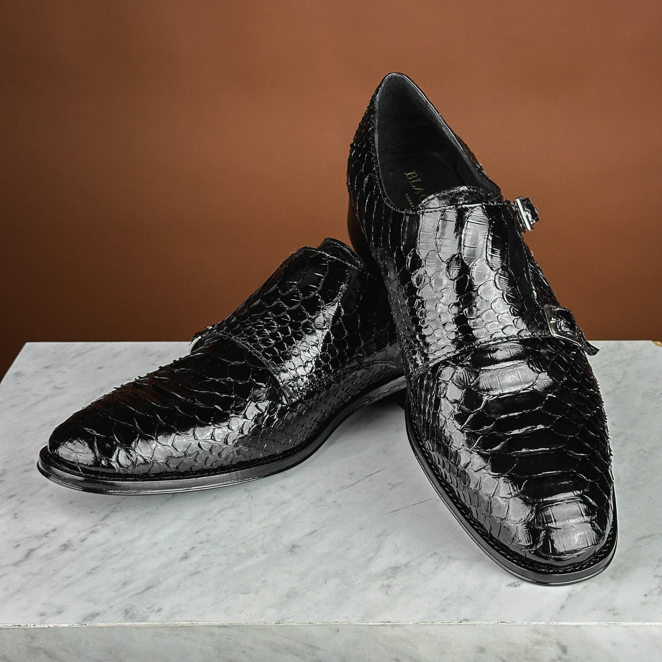 BLACK PYTHON XAVIER