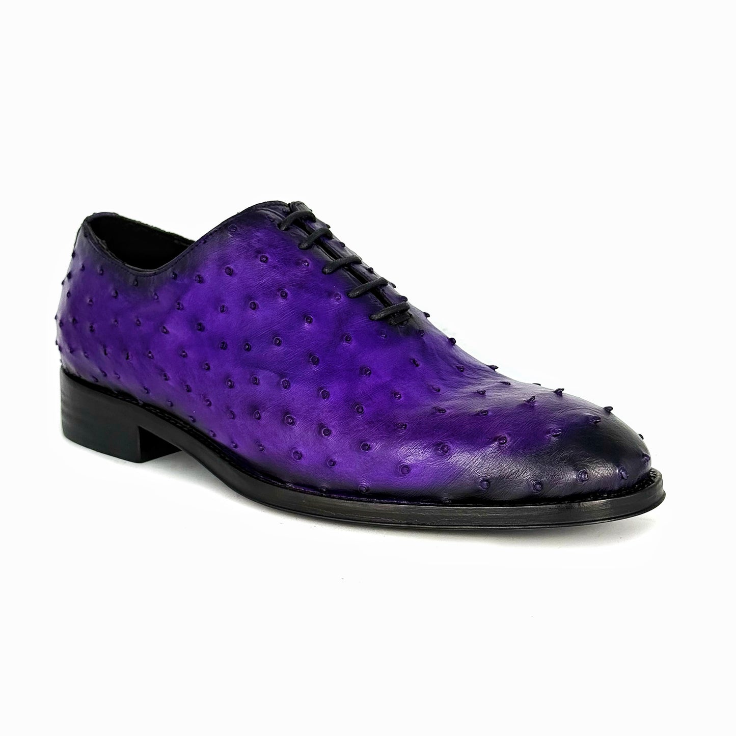 PURPLE OSTRICH HUGO