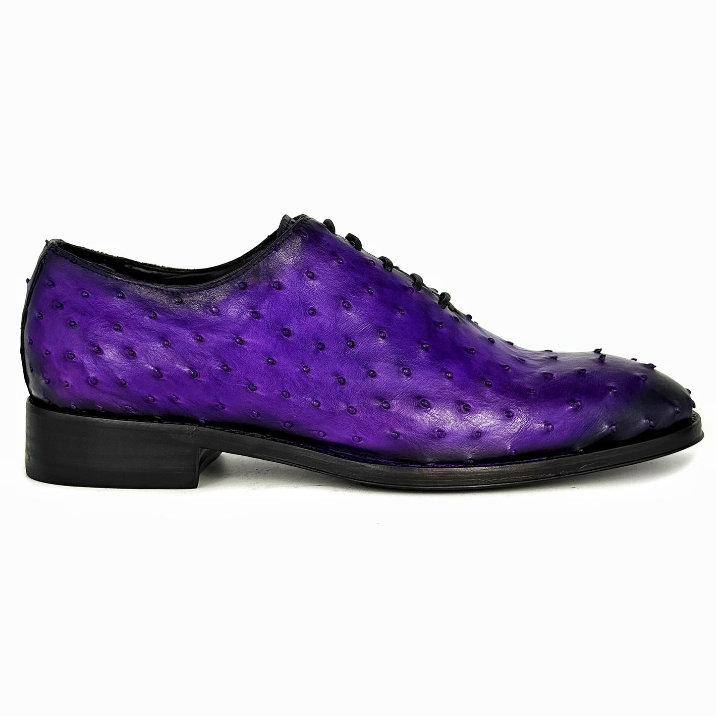 PURPLE OSTRICH HUGO