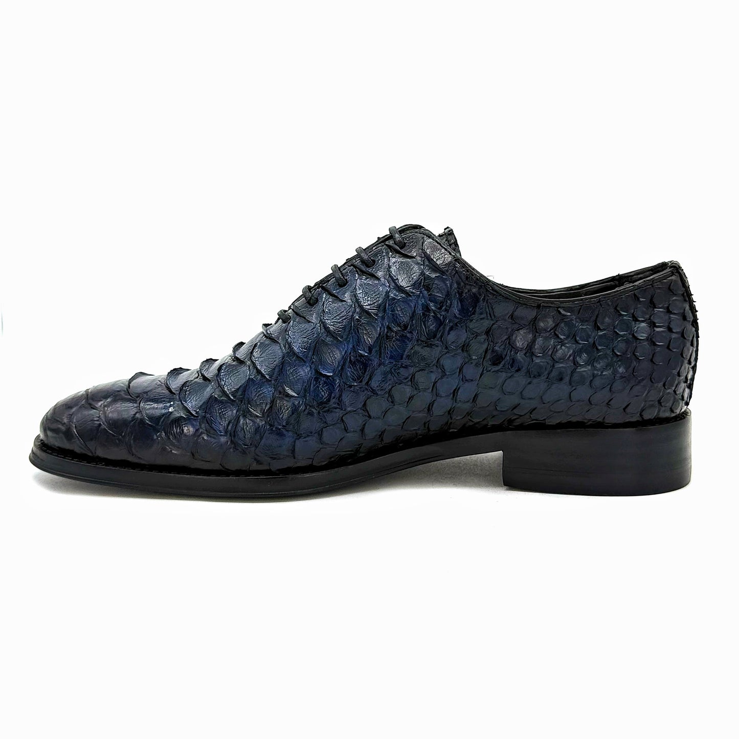 NAVY BLUE PYTHON HUGO