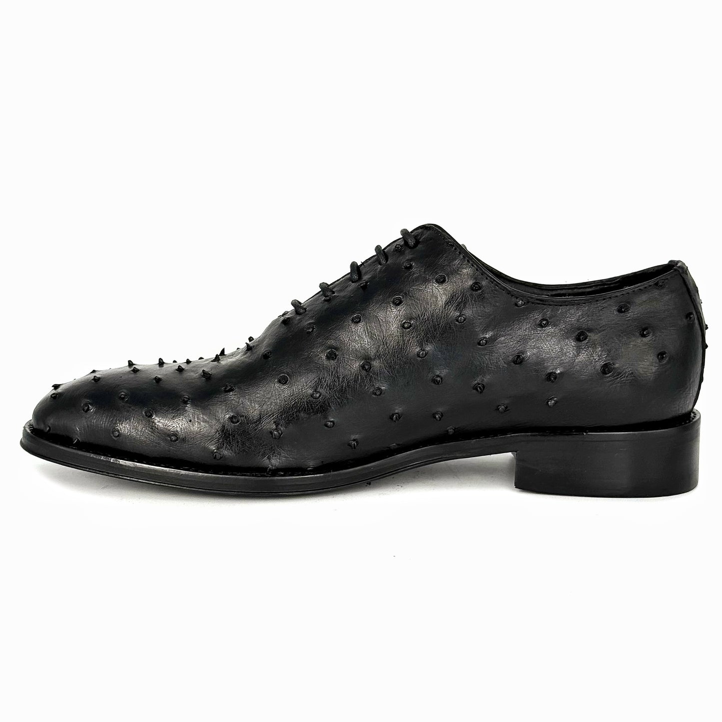 BLACK OSTRICH HUGO