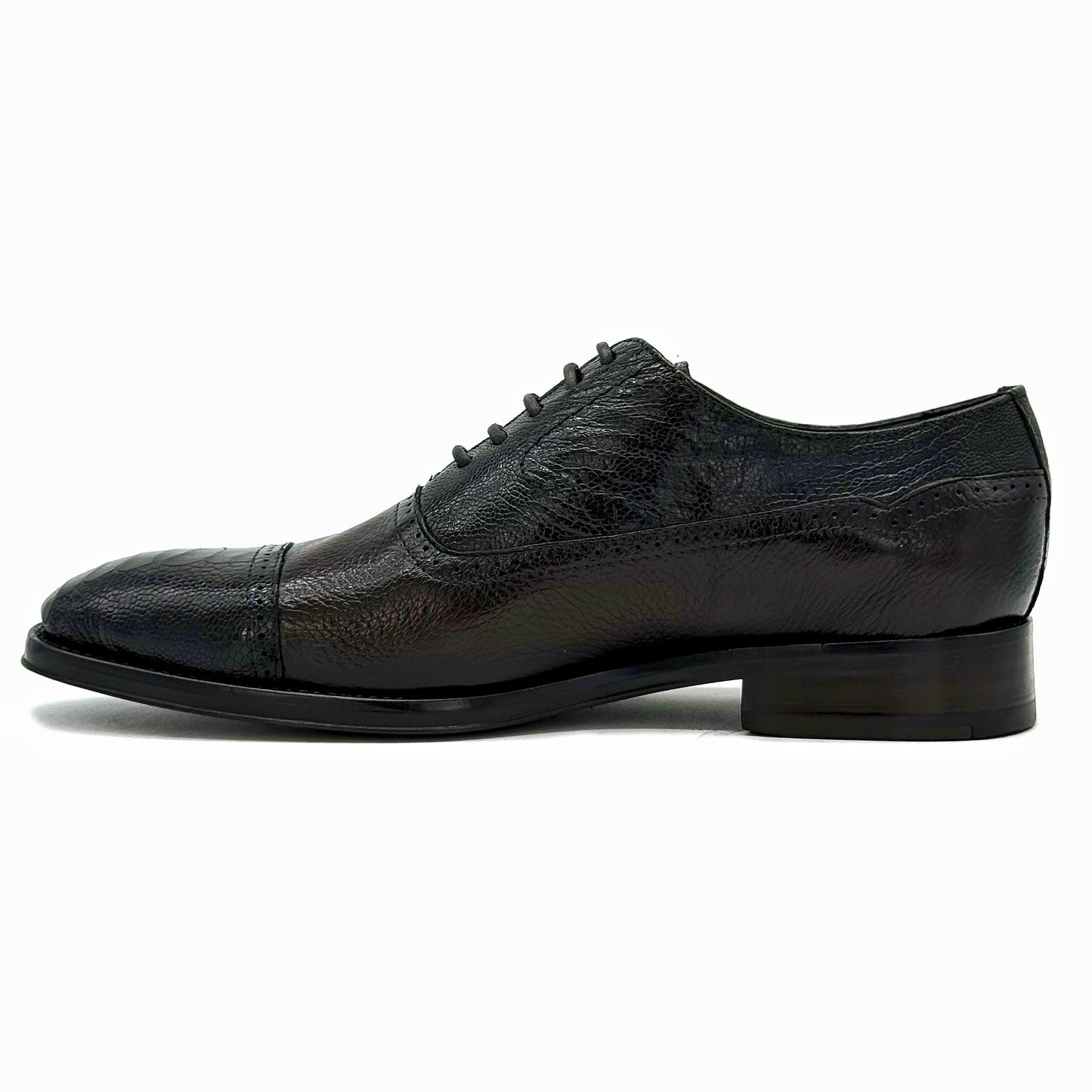 DARK BROWN DEER & OSTRICH WILLIAM