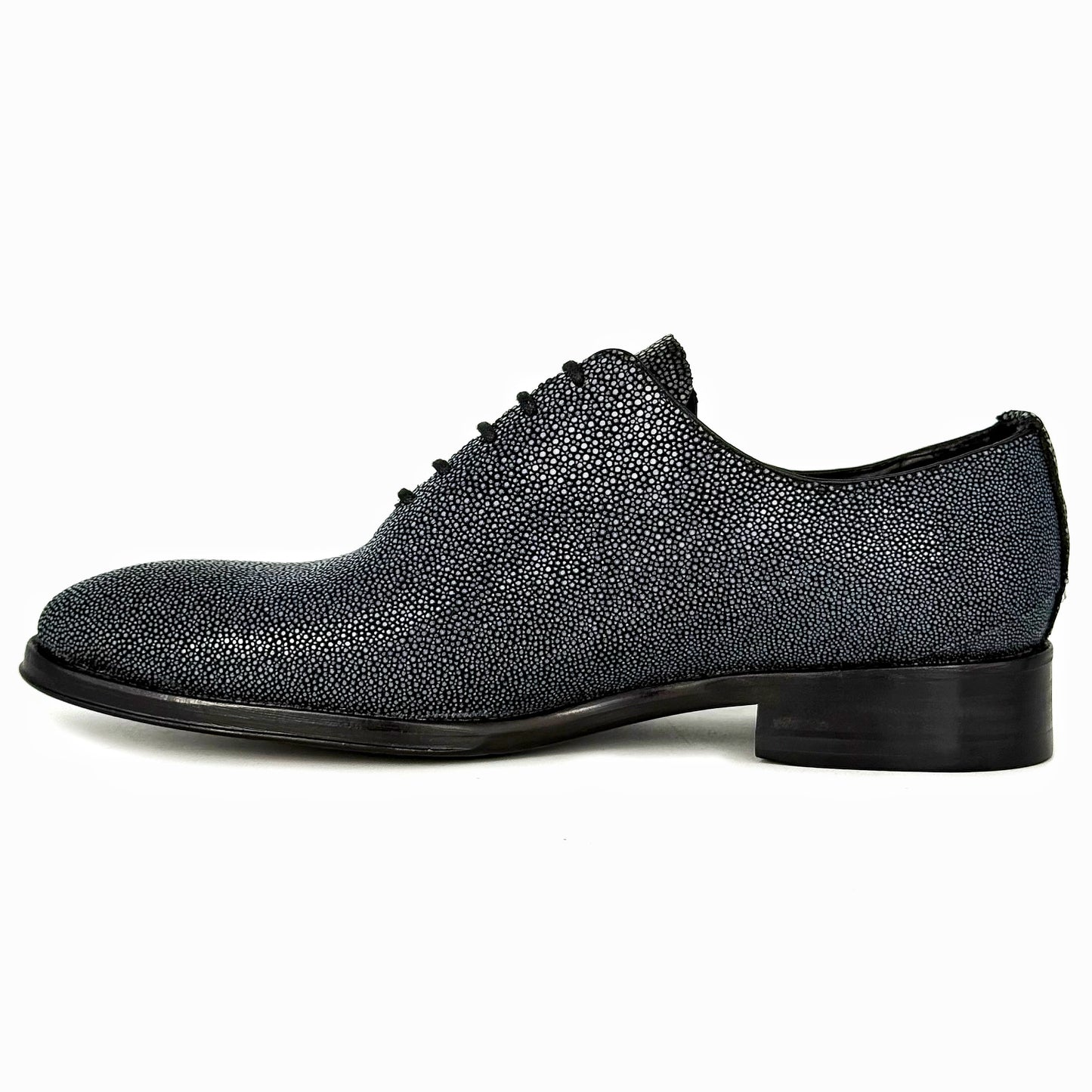 POLISHED STINGRAY HUGO