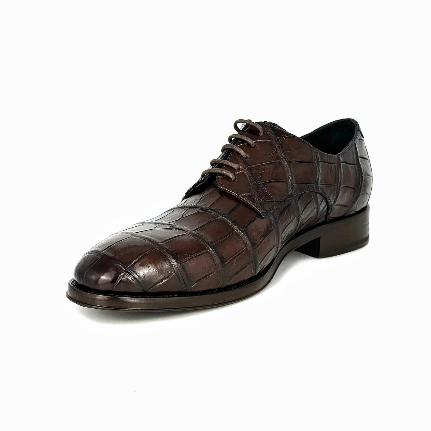 BROWN ALLIGATOR CARL