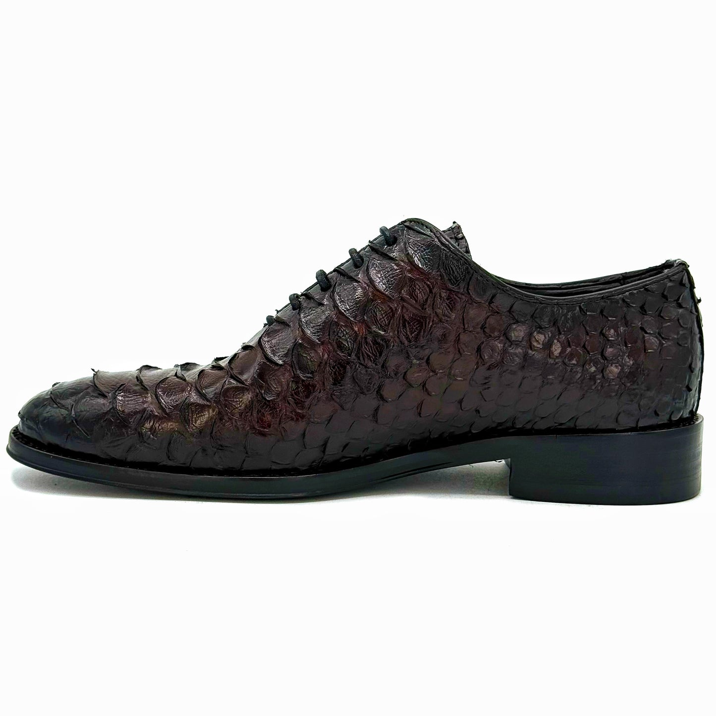 WINE PYTHON HUGO