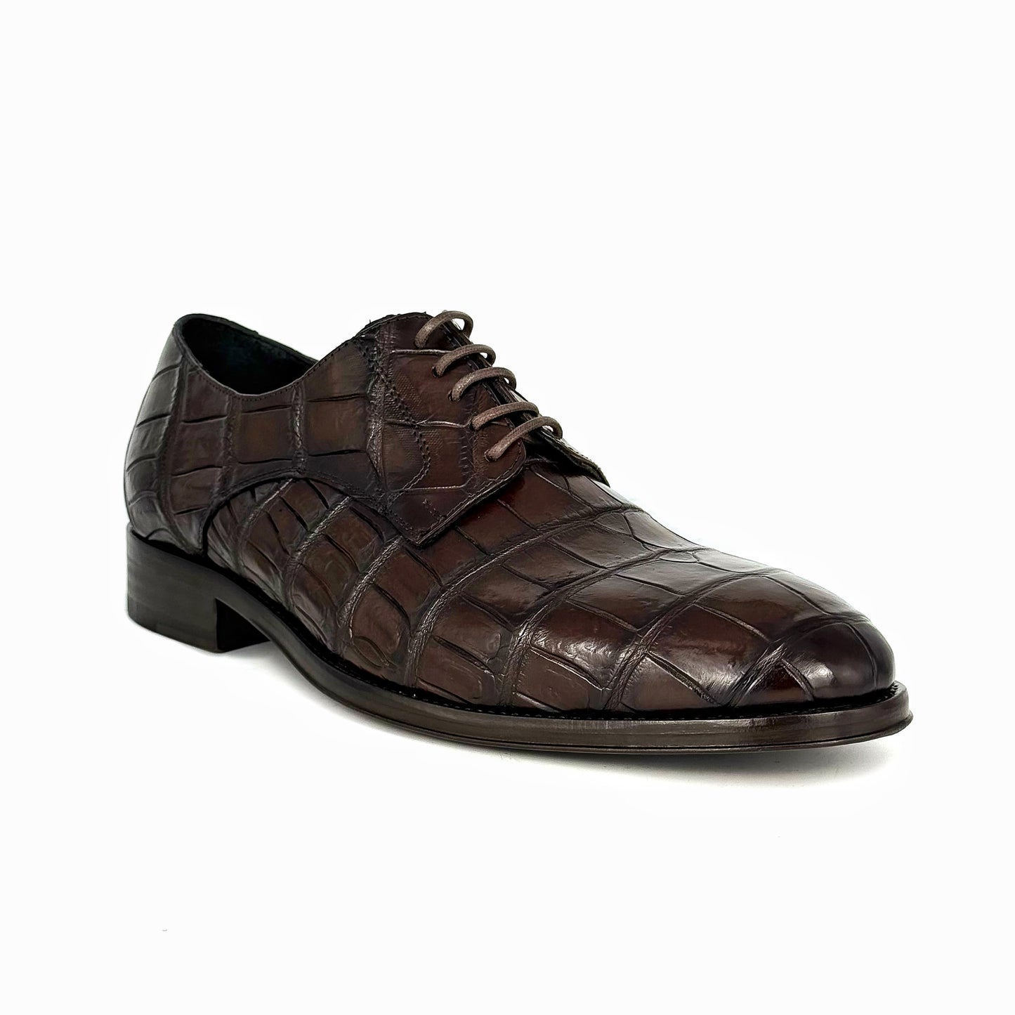 BROWN ALLIGATOR CARL