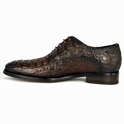 ALEXANDER COCODRILO FUSCUS BROWN