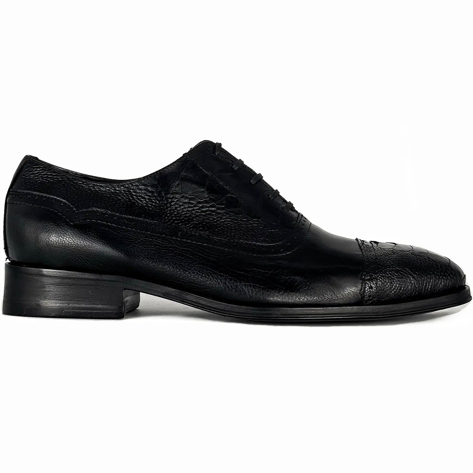 WILLIAM VENADO & AVESTRUZ BLACK