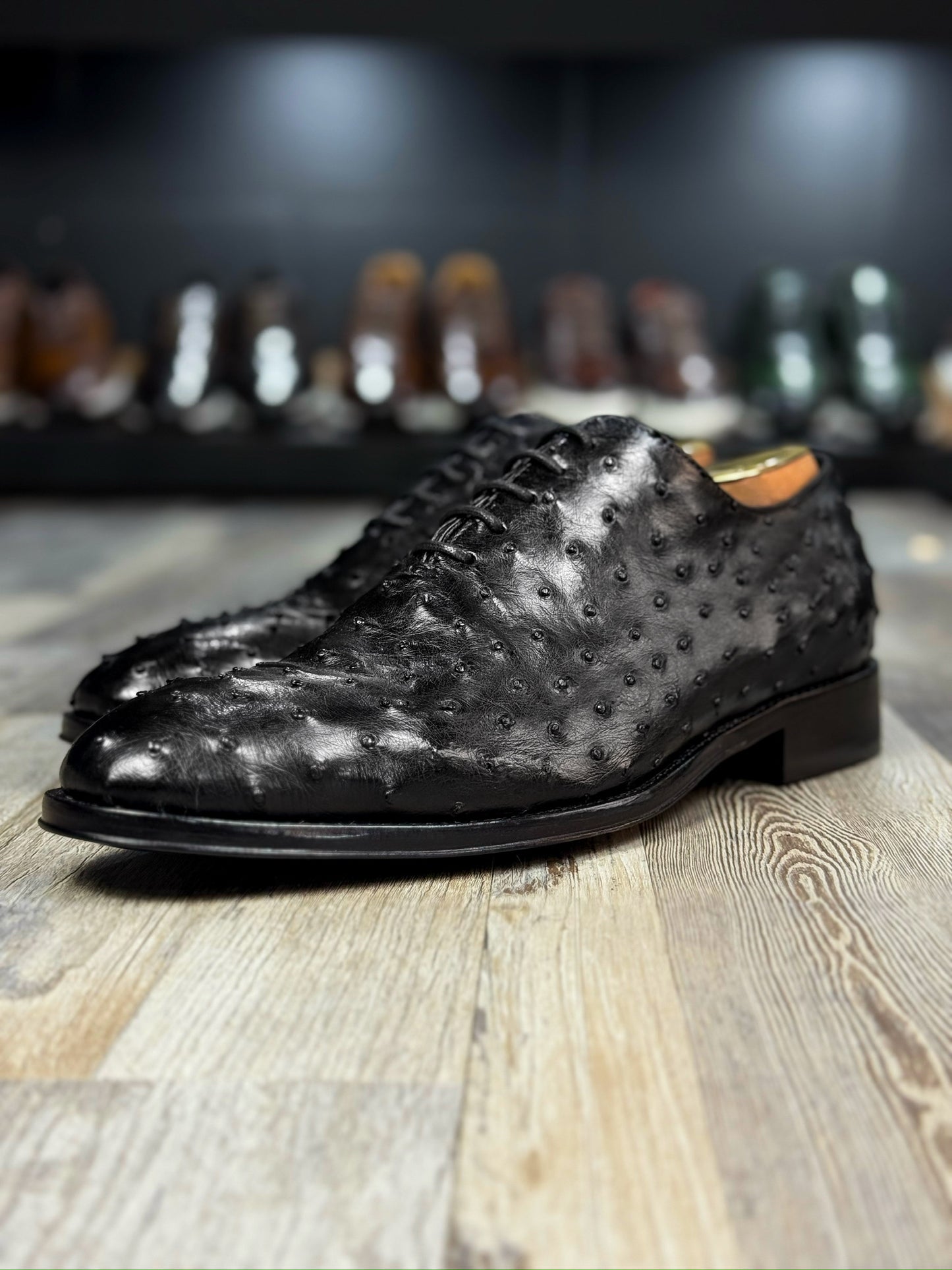 HUGO WHOLECUT OSTRICH BLACK 