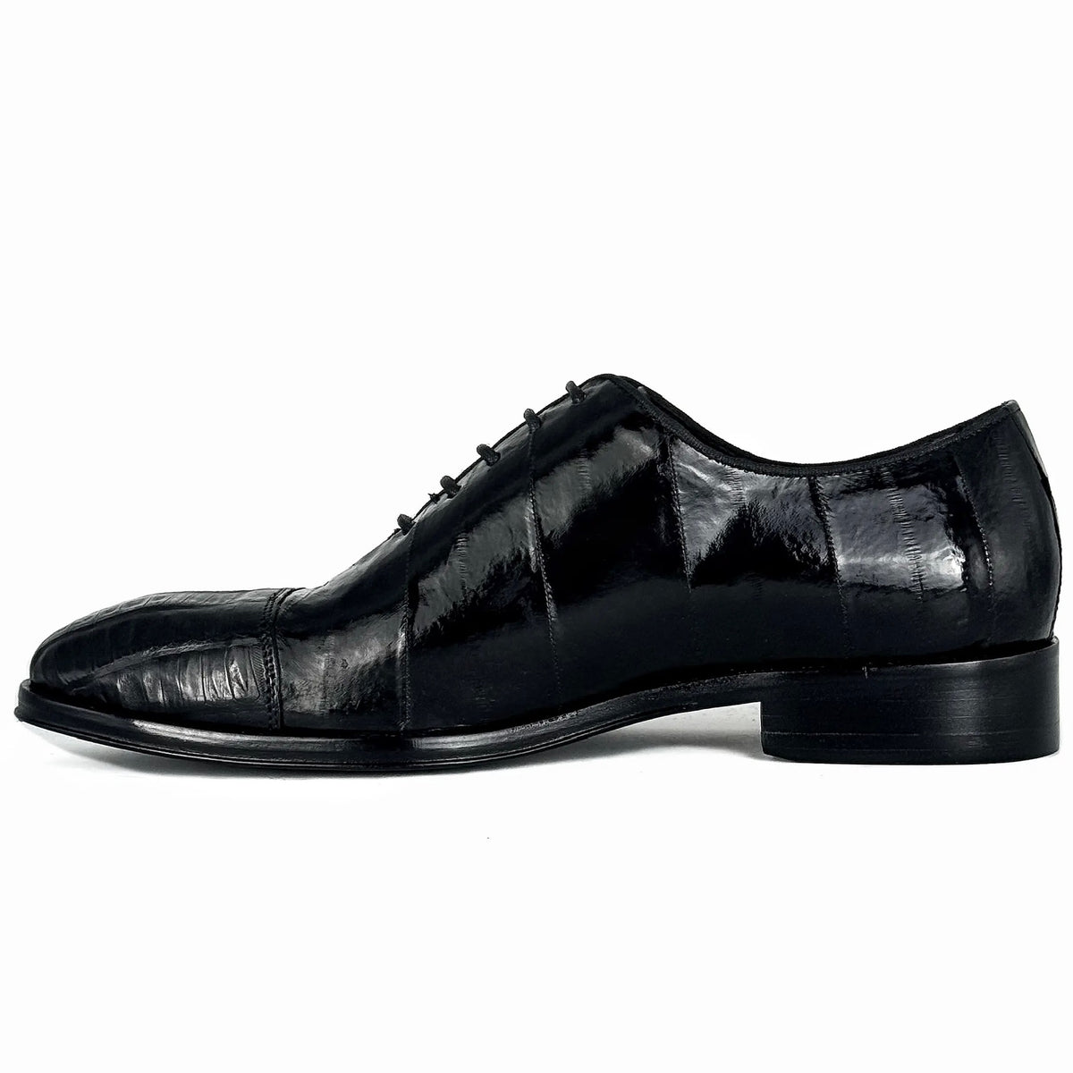 DAMIÁN ANGUILA & COCODRILO BLACK