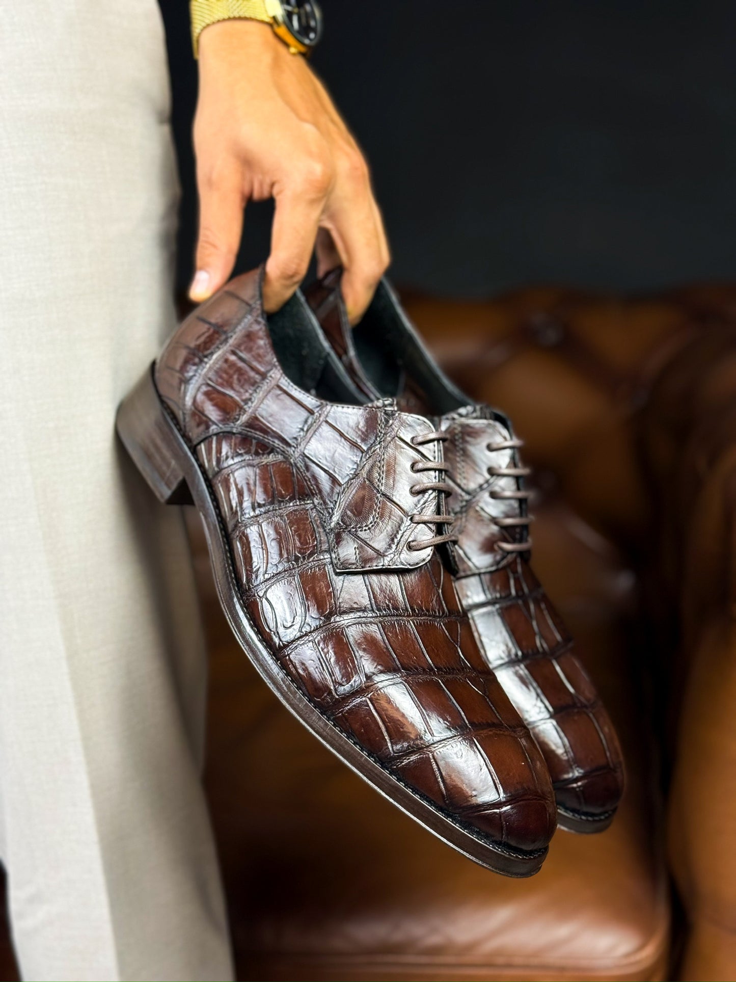 CARL ALLIGATOR BROWN