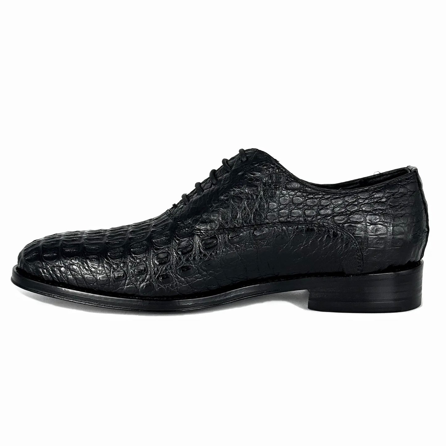 ALEXANDER COCODRILO FUSCUS BLACK