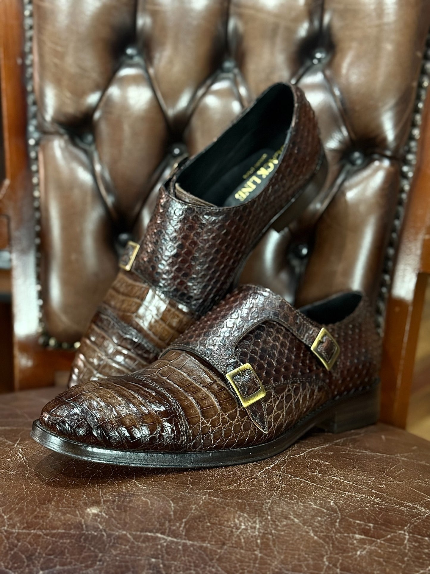 DANIEL PITON &amp; BROWN CROCODILE