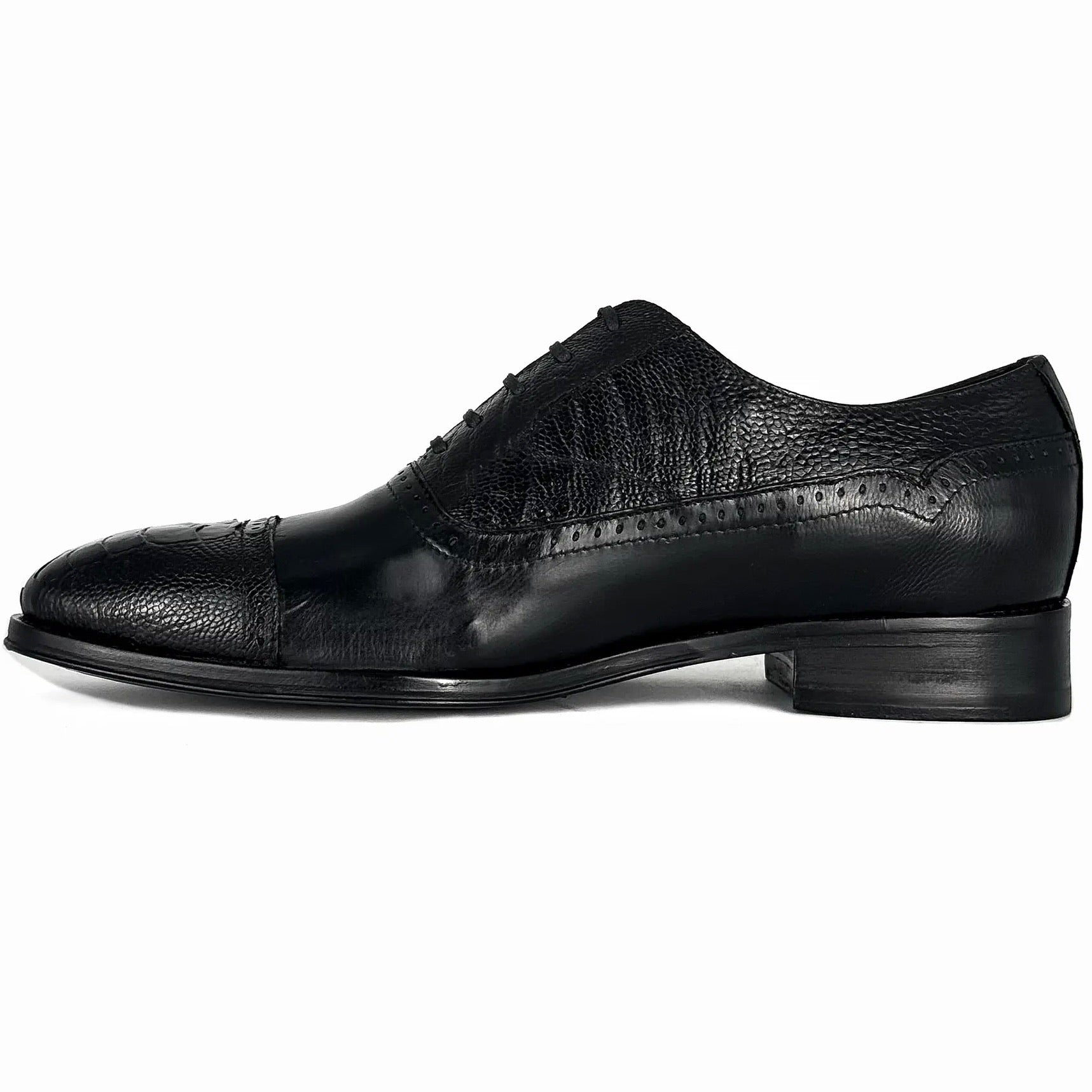 WILLIAM VENADO & AVESTRUZ BLACK